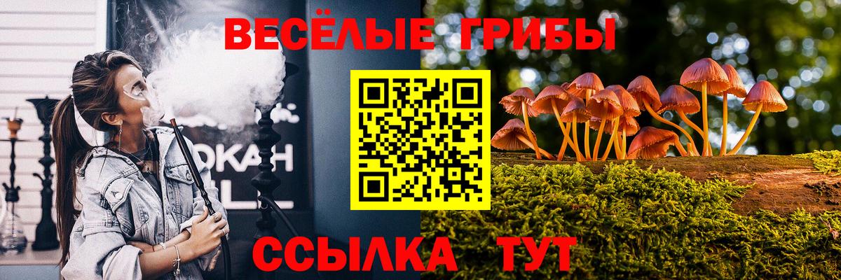 Губаха  Псилоцибиновые грибы GOLDEN TEACHER  Галлюциногенные грибы мухоморы  что такое   Вход с VPN 