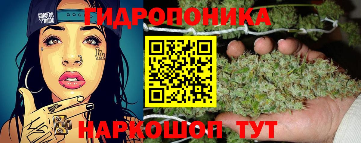 Бошки марихуана план  Вход с VPN  Бошки Шишки MAZAR  Губаха  Марихуана MAZAR 